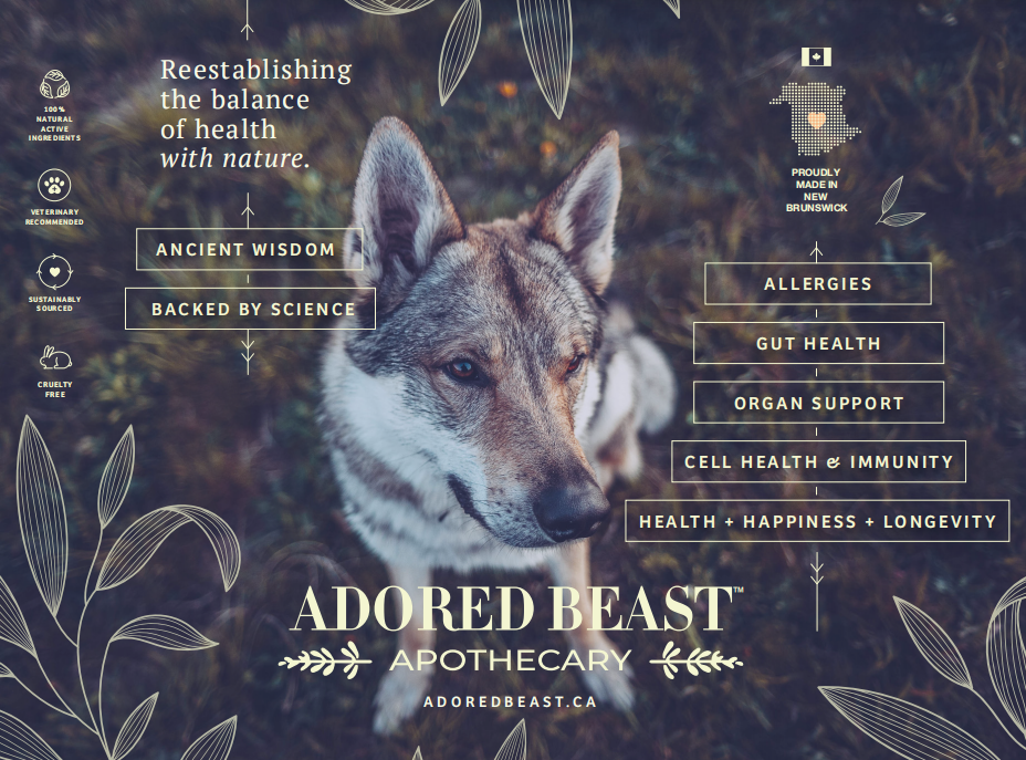 Adored Beast Apothecary