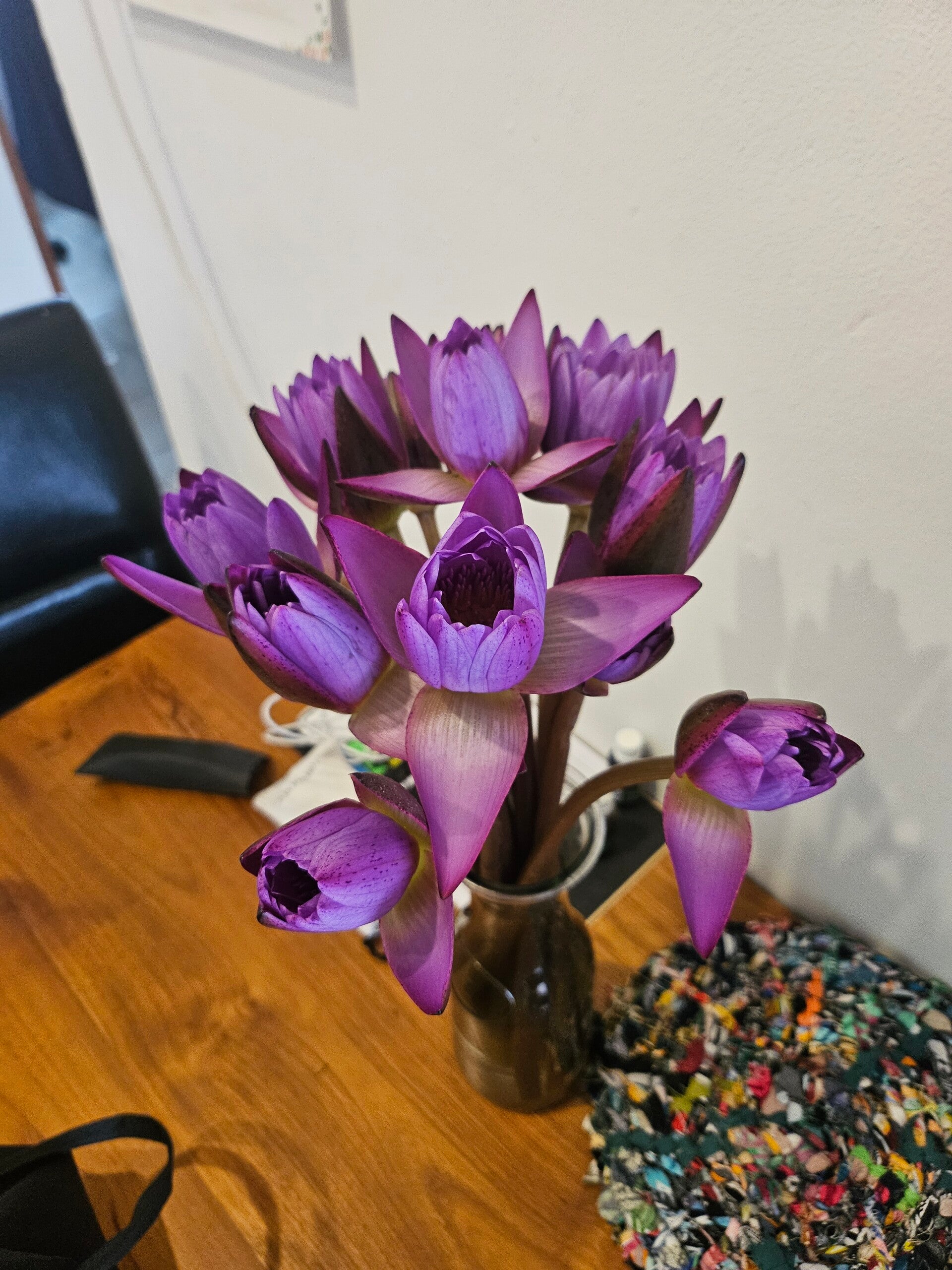 lotus