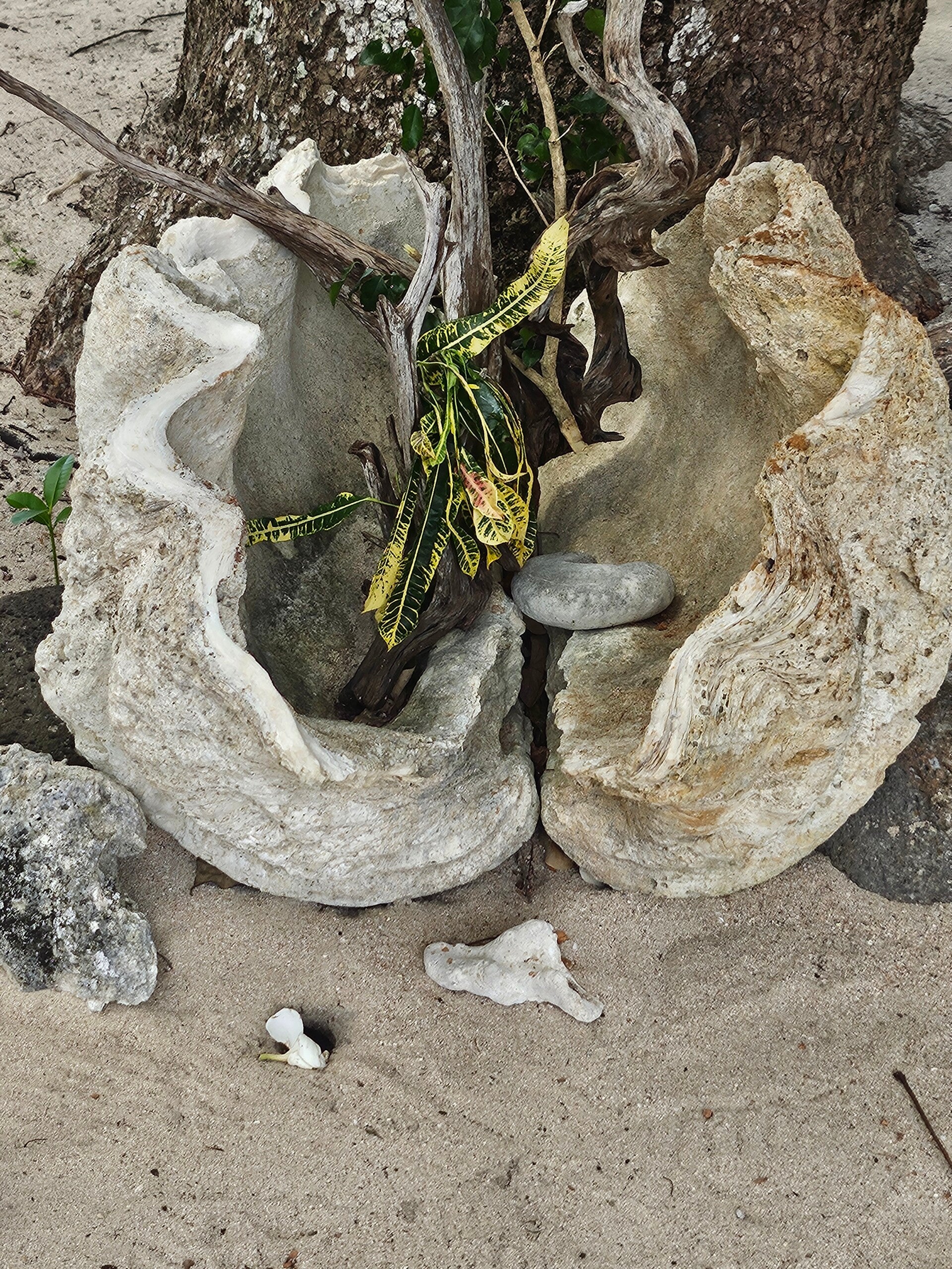 Clam shell