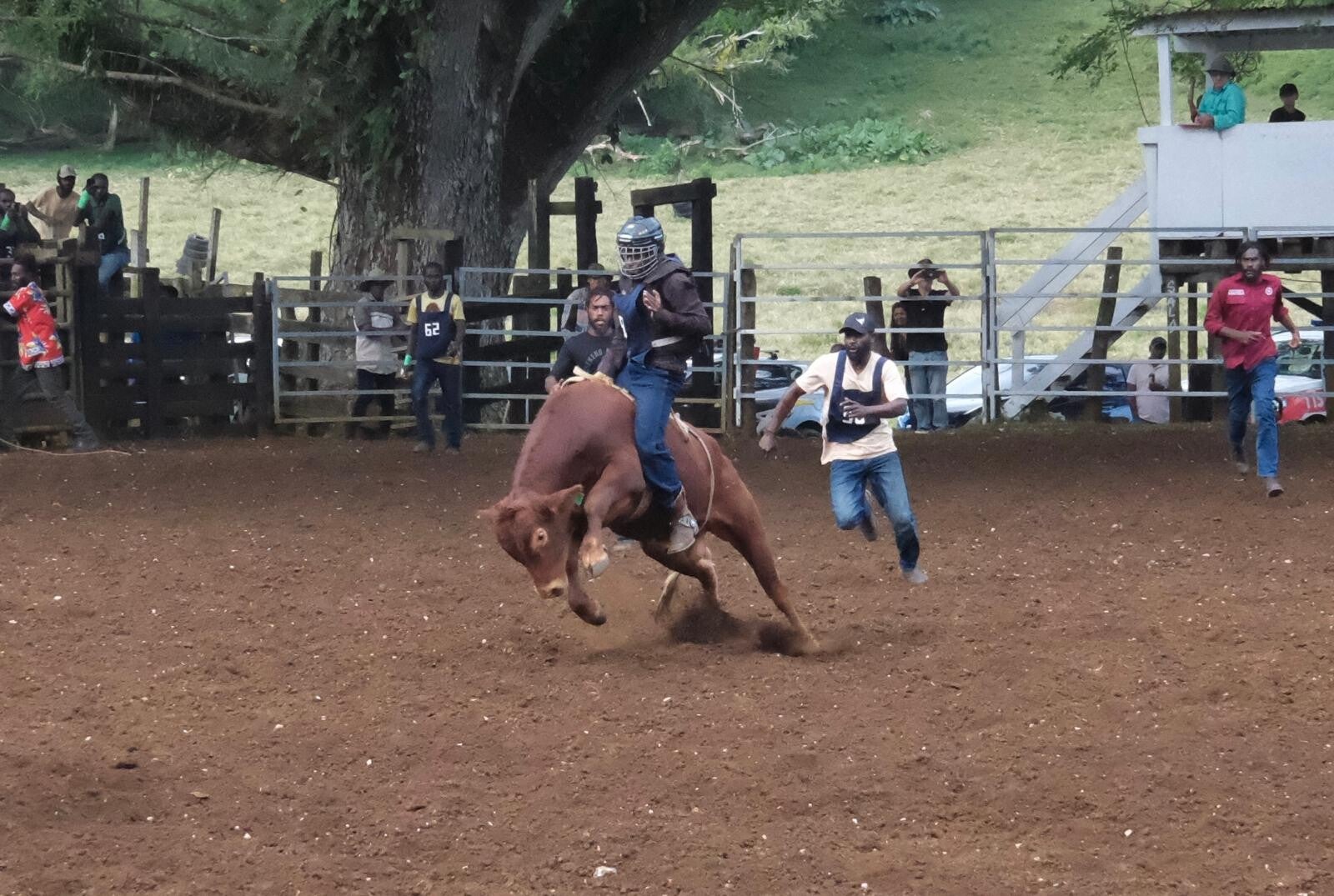 rodeo