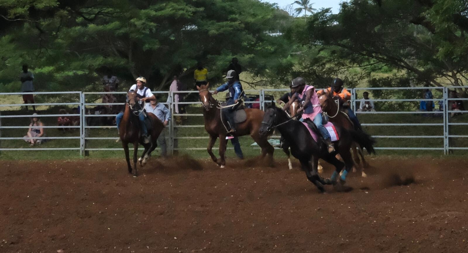 rodeo