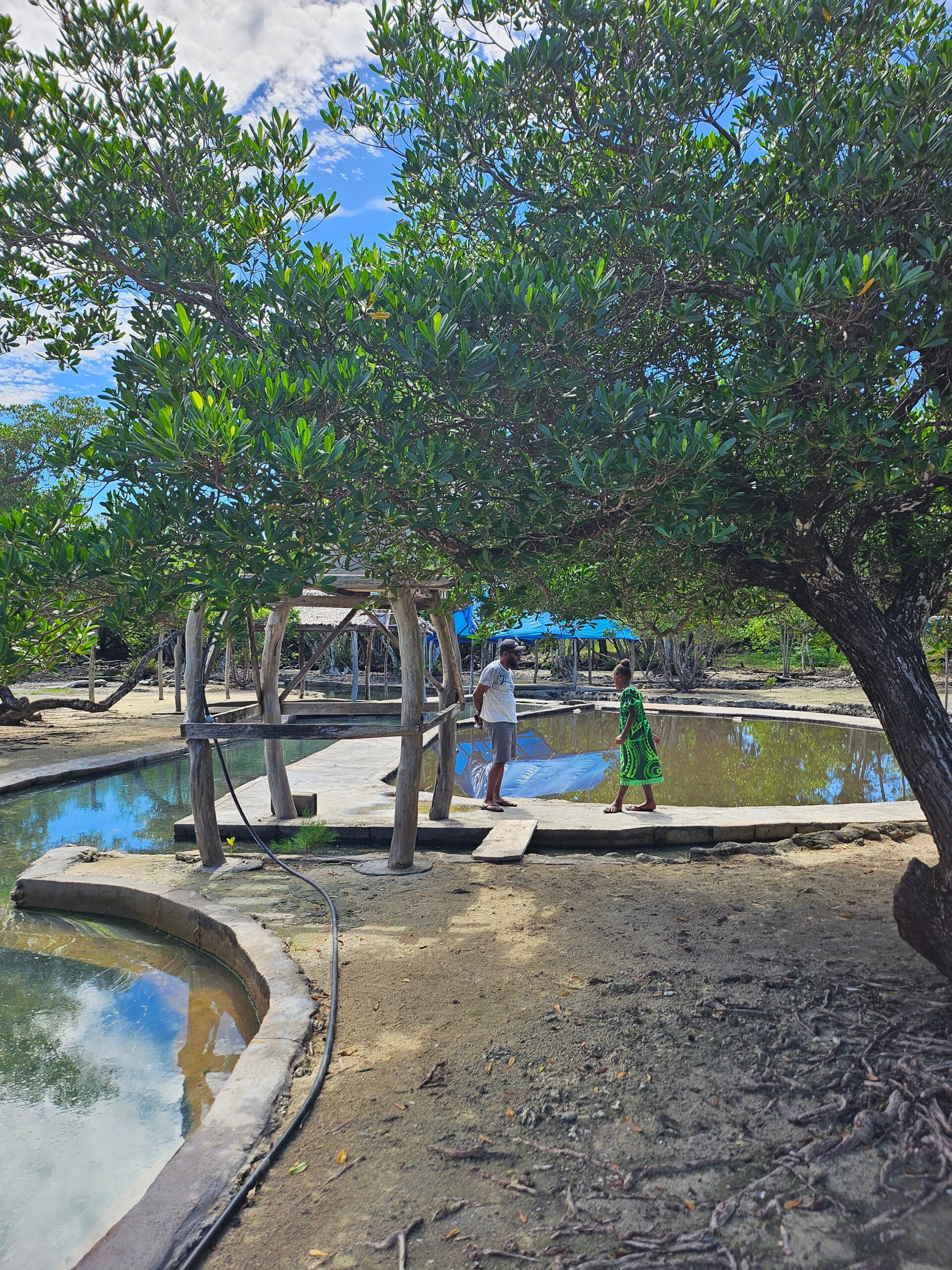 Thermal Pools1