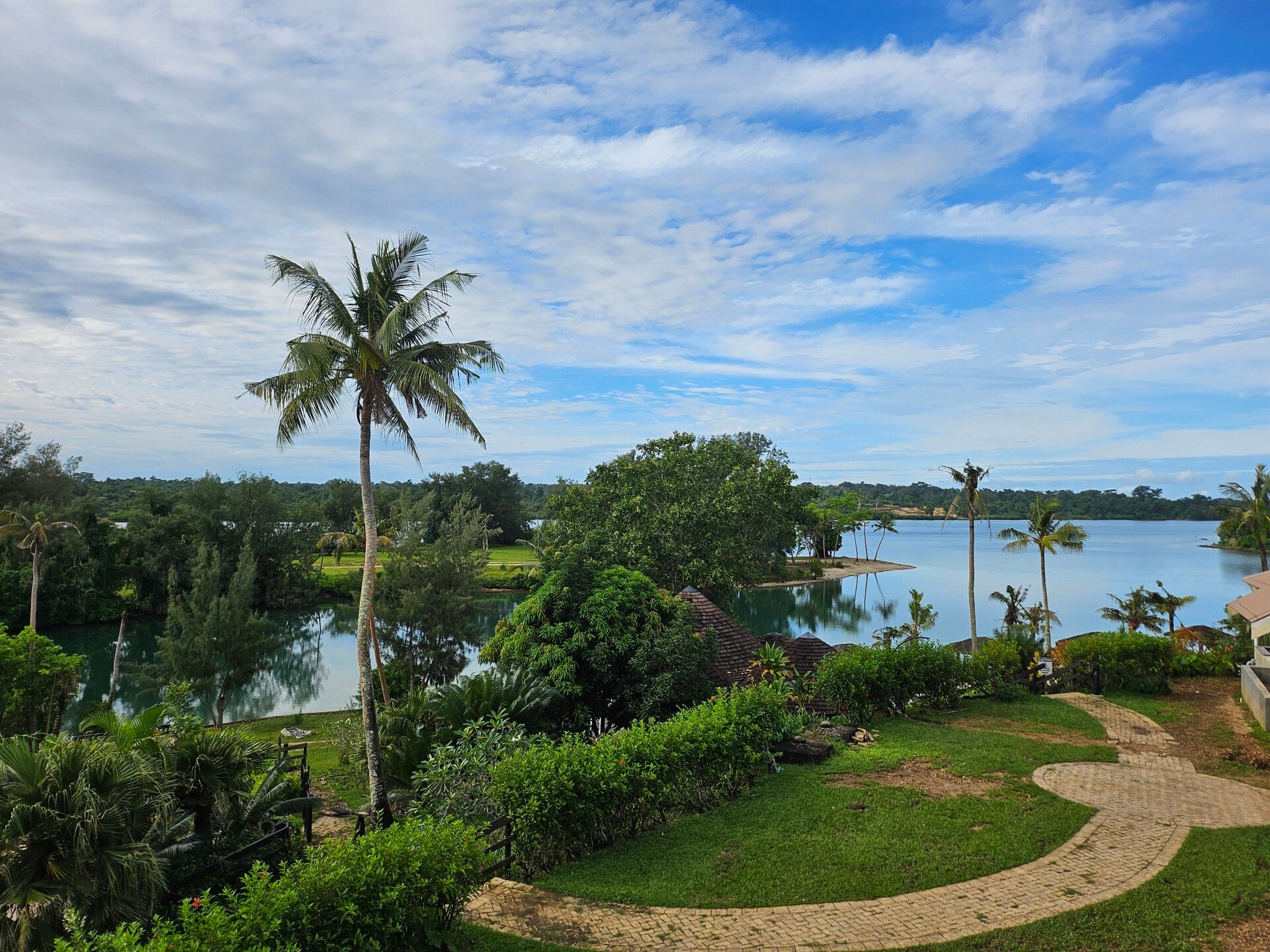 view