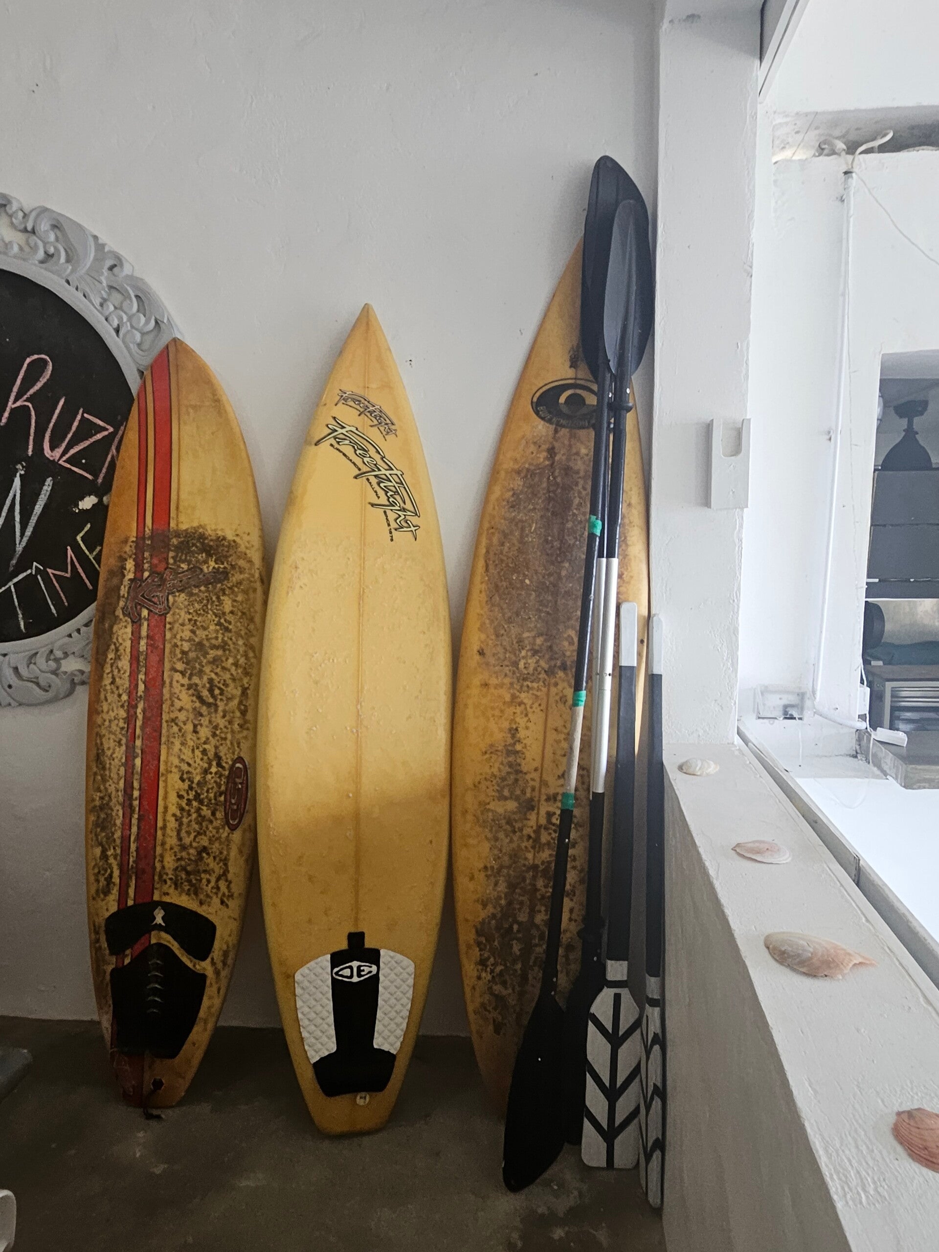banana-bay-