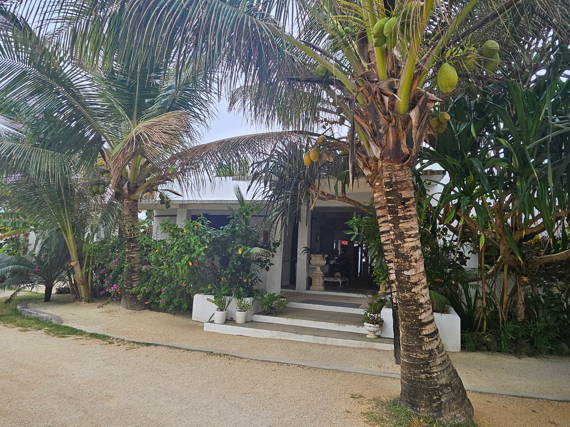 banana-bay1