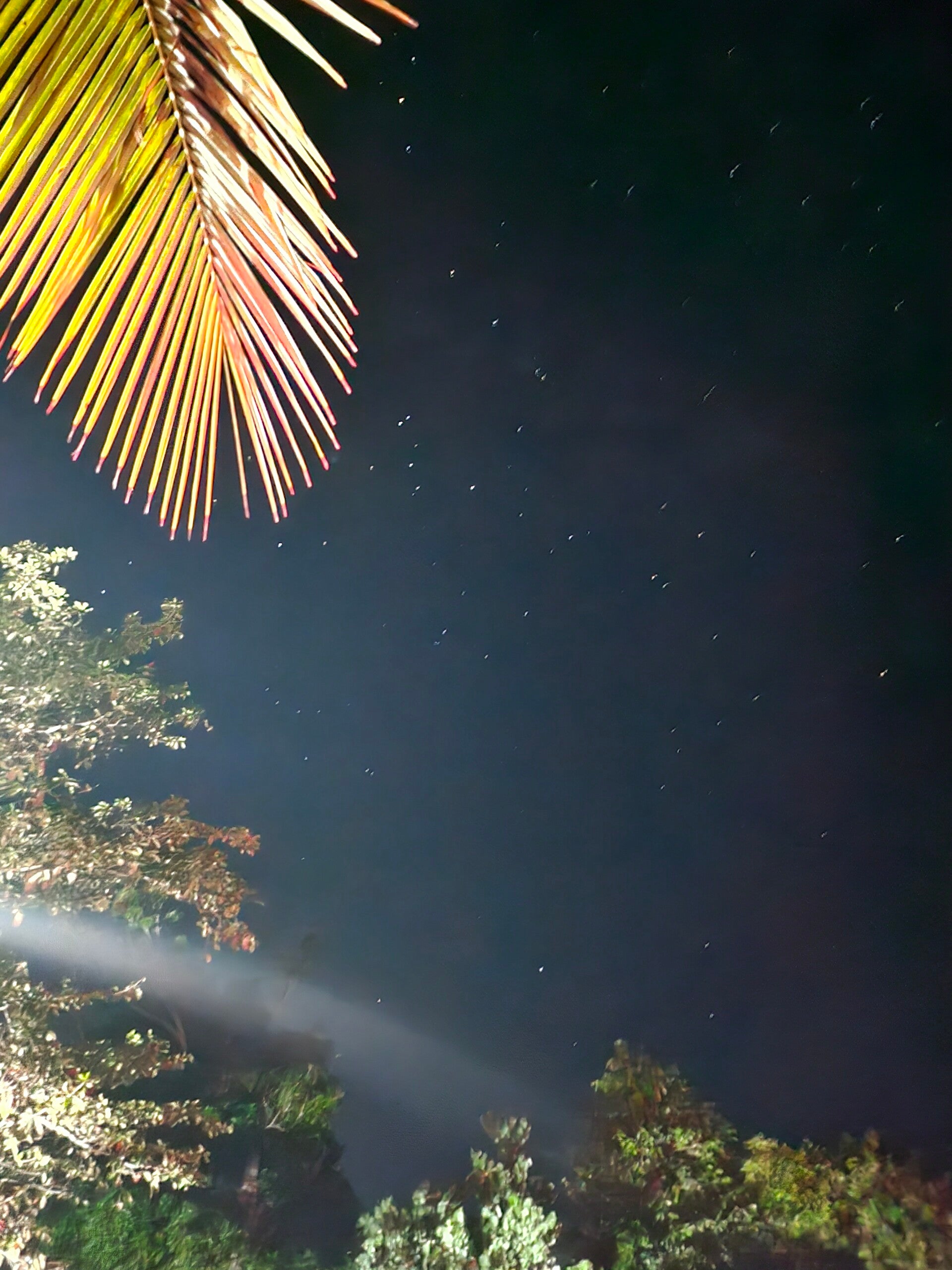 night sky