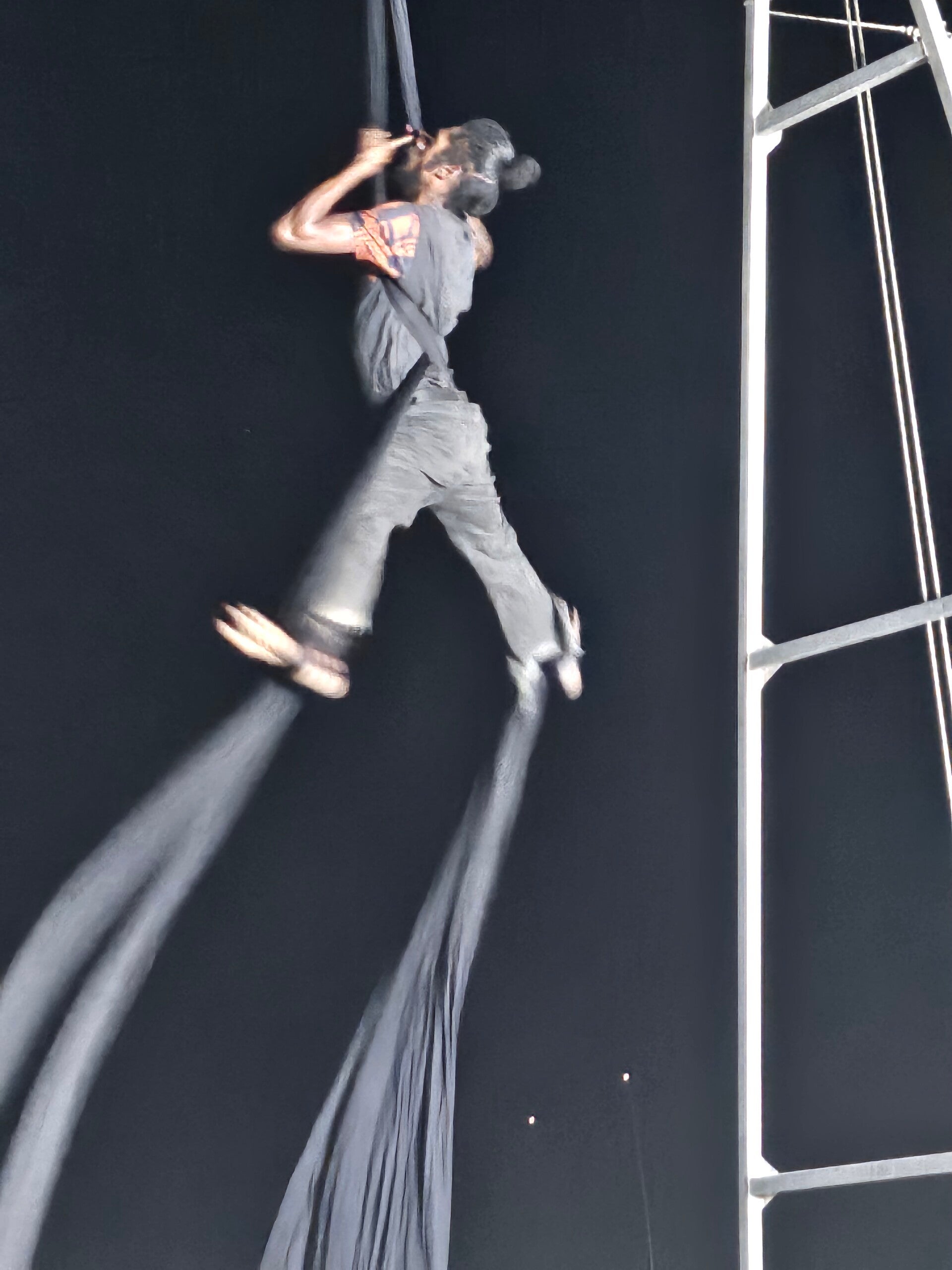 circus