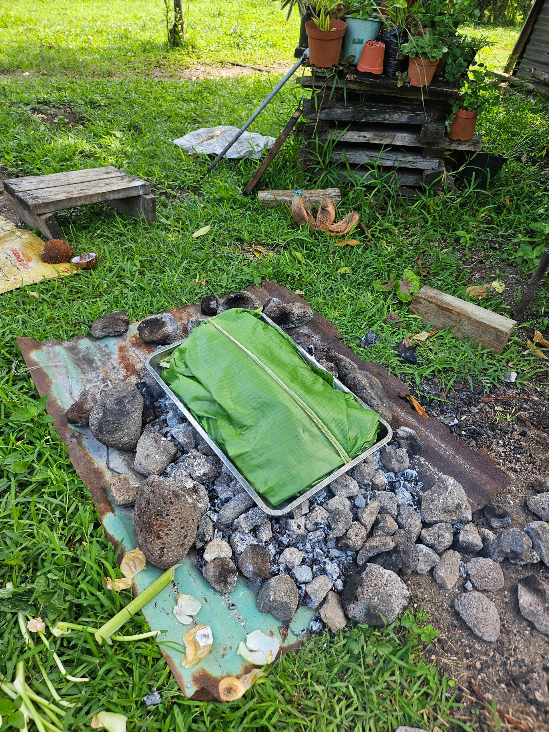 kai-for-the-hangi-6-