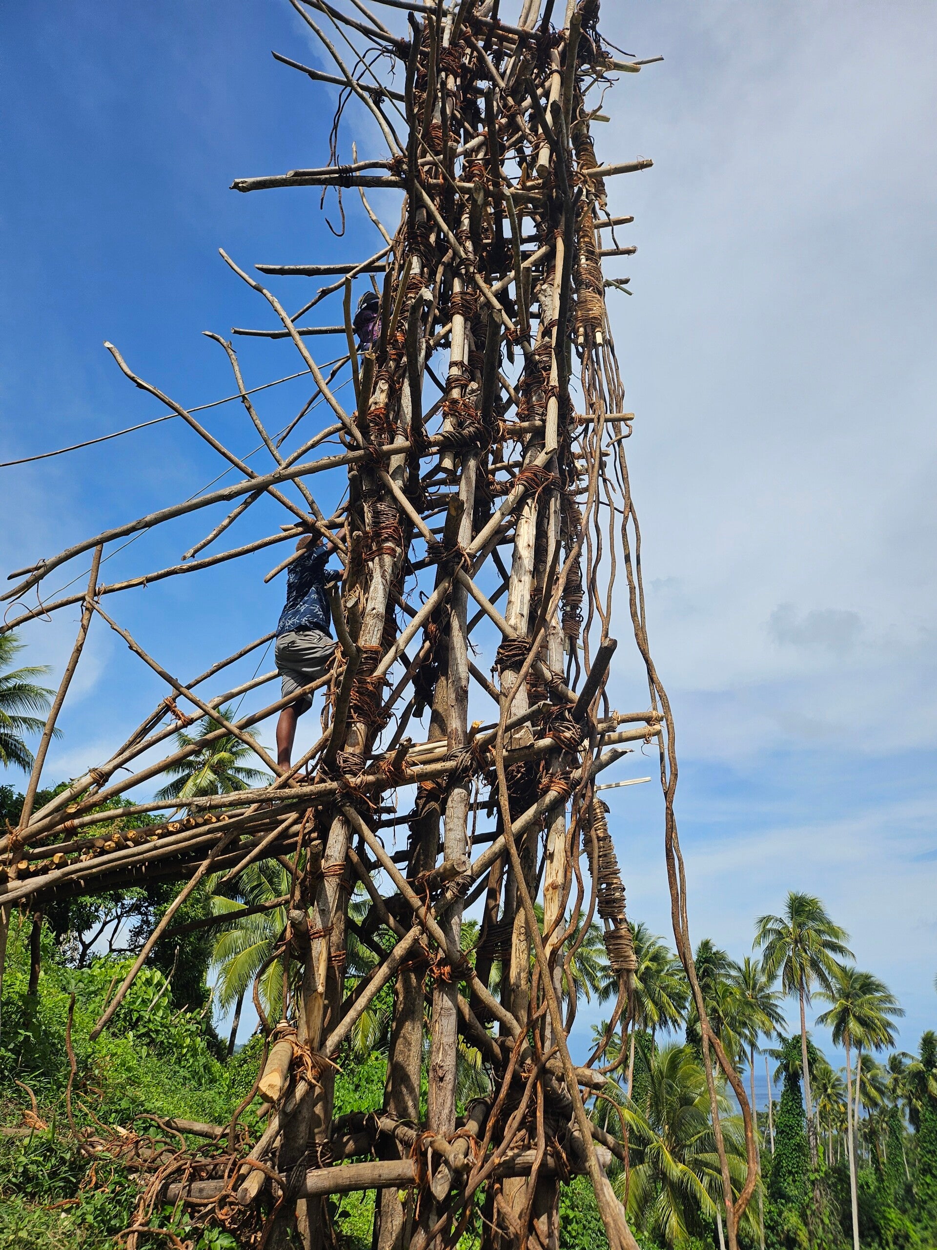 land-diving-