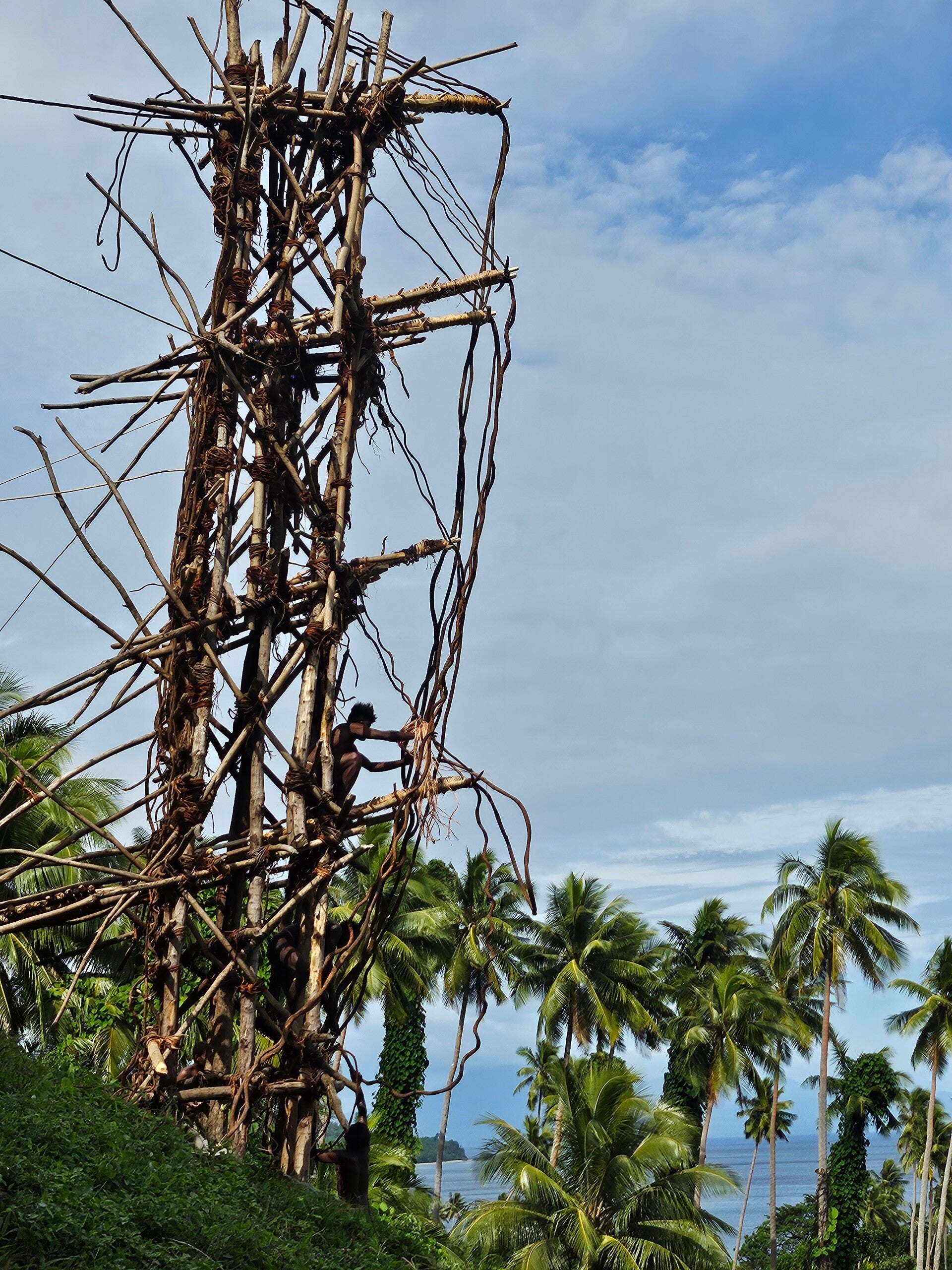 land-diving-