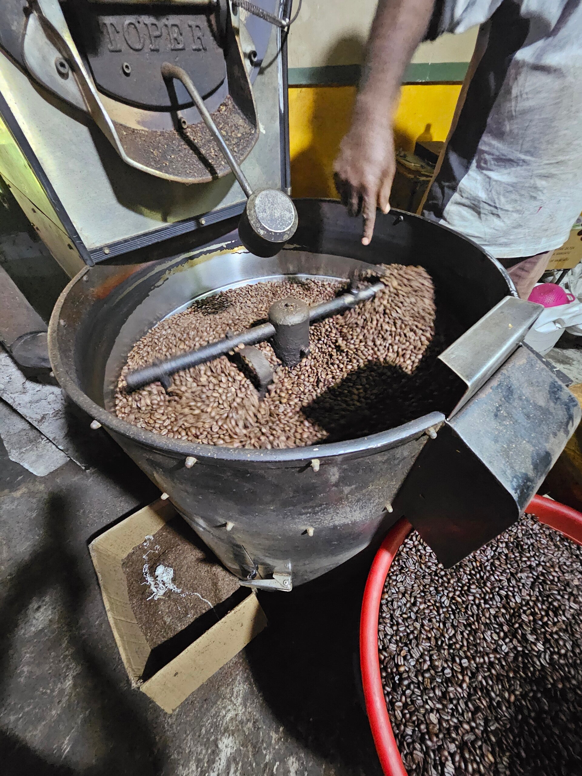 tanna coffee