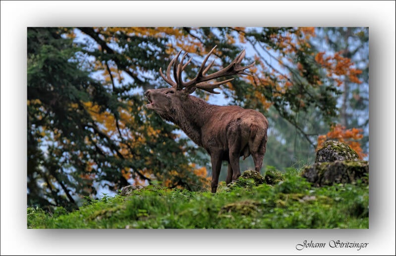 2200-dscf5183-standard-wp3fsd.jpg