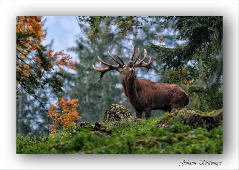 2200-dscf5317-standard-gzghn5.jpg