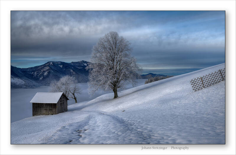 6000-winter-23-standard.jpg