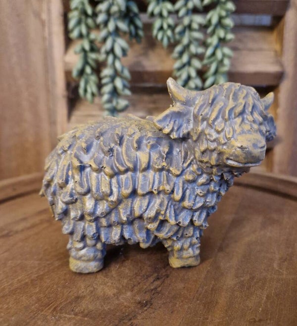 Countryfield Schotse Hooglander S