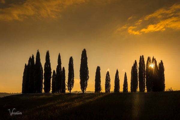 Toscane Fotoreis - 2-persoonskamer