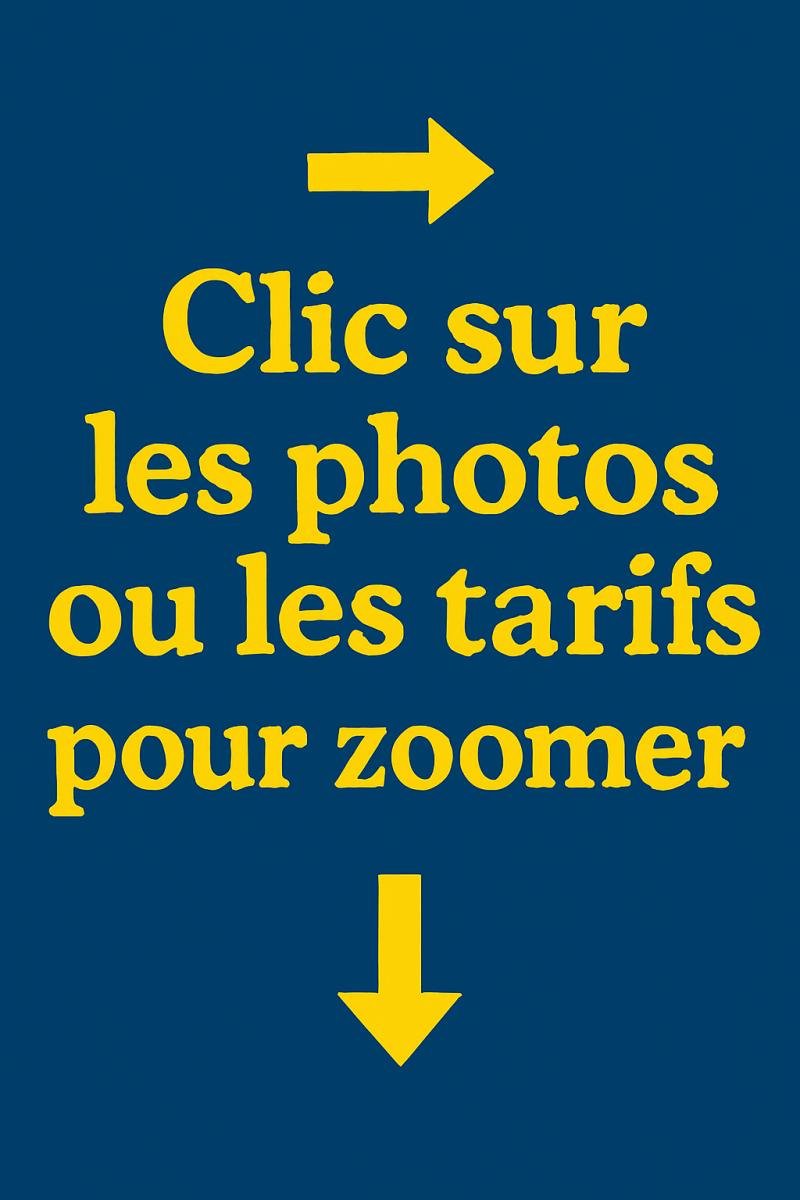 copilot_image_1772052131616-standard-nx28t1.png
