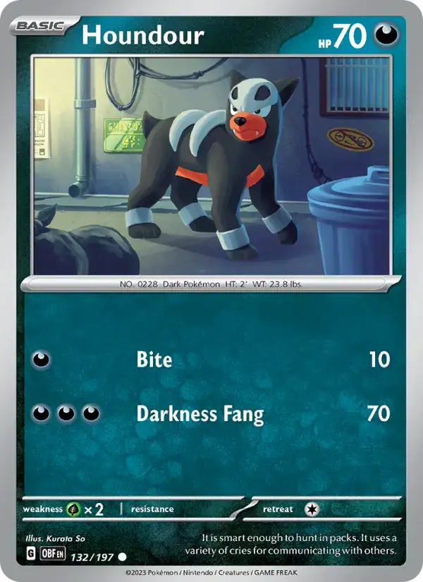 Houndour OBF #132