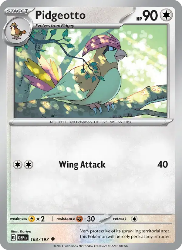Pidgeotto OBF #163