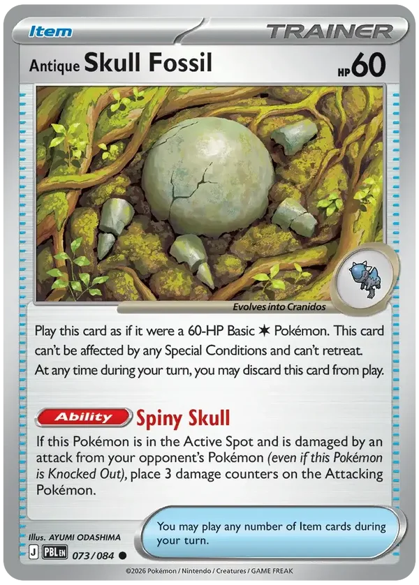 PBL #073 Antique Skull Fossil