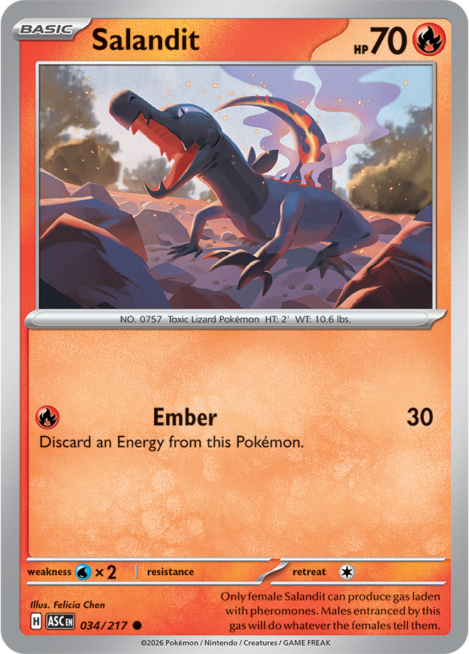 Salandit ASC #034