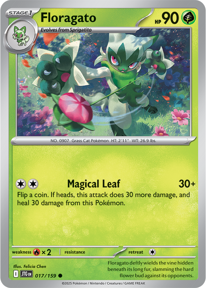 Floragato JTG #017
