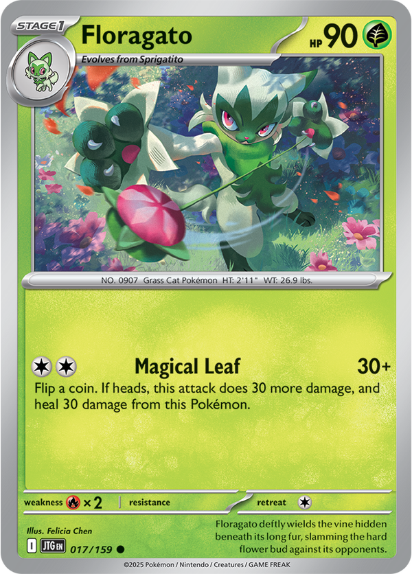 Floragato JTG #017