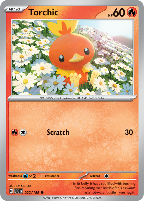Torchic JTG #022