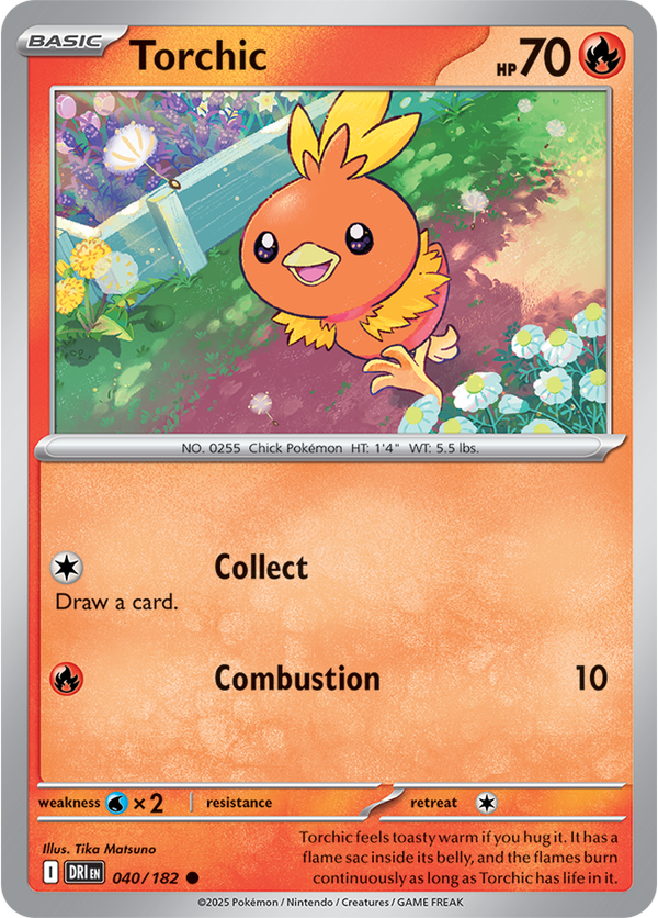 Torchic DRI #040