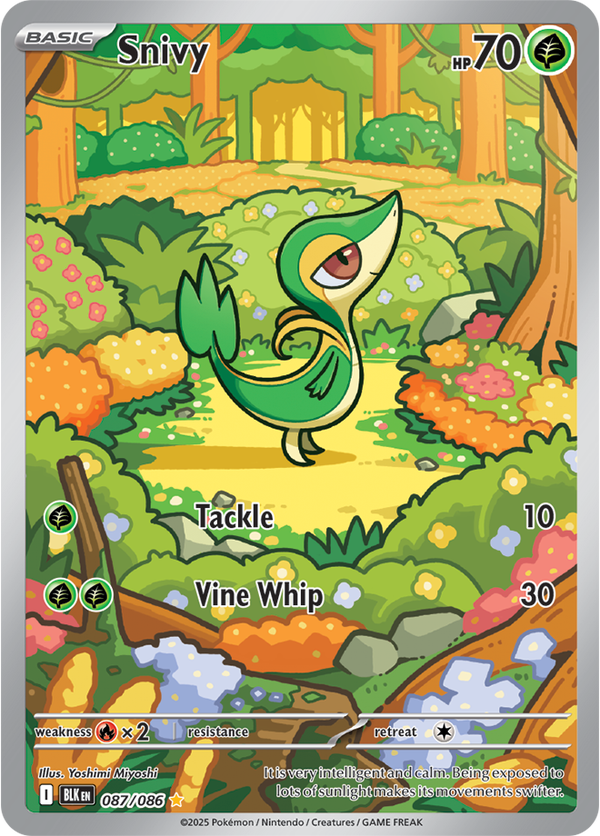 Snivy BLK #087