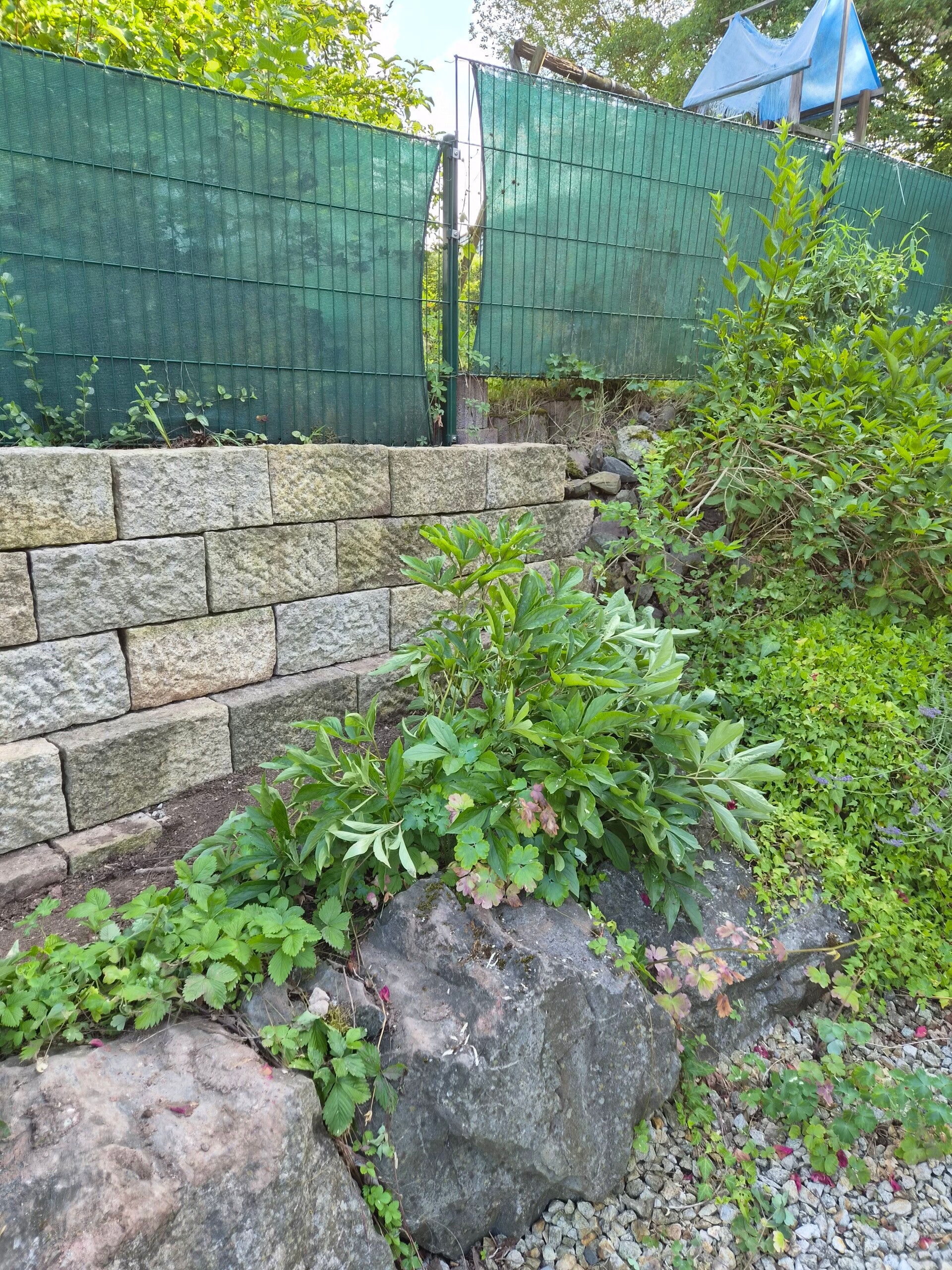 20260630_173431-standard.jpg