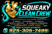 squeakycleanercrew