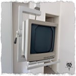 tef2-5.jpg