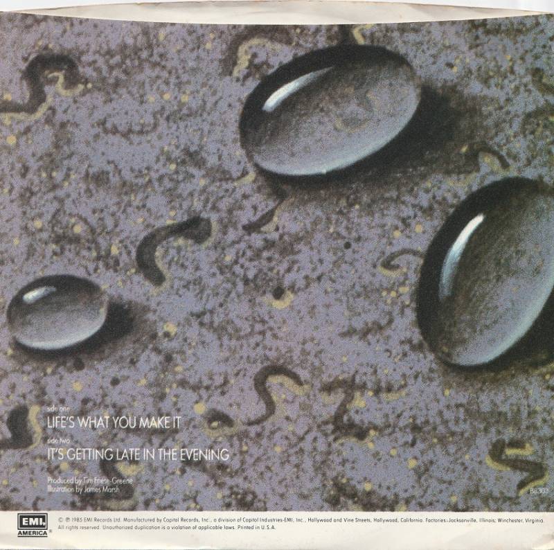 Life's What You Make It USA back