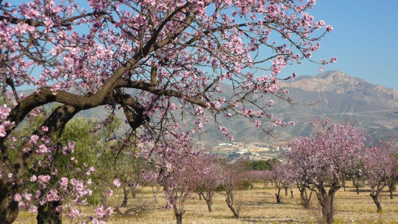 Met de voorjaarsvakantie naar Spanje!