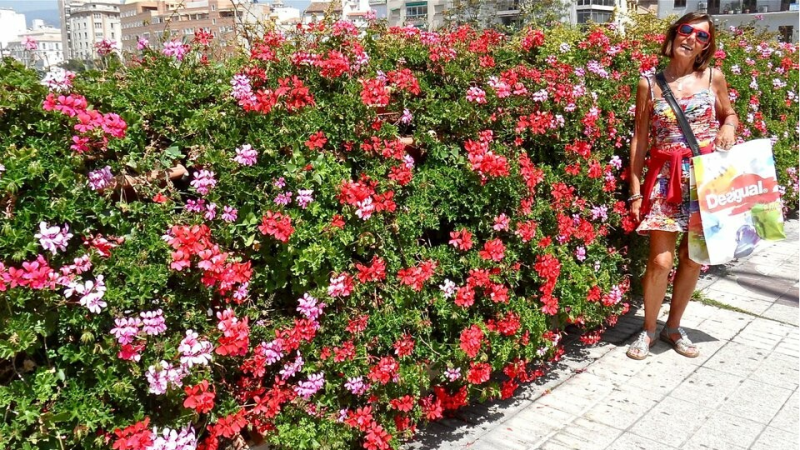 Meivakantie - Beleef Spanje