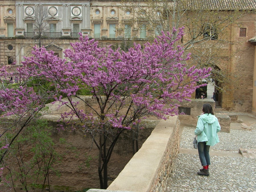 HET ALHAMBRA PALEIS EN FORT IN GRANADA