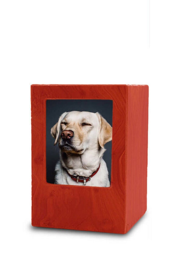 Dierenurn foto