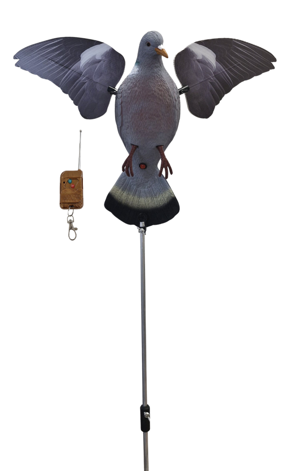 COLOMBACCIO CON COMANDO A DISTANZA