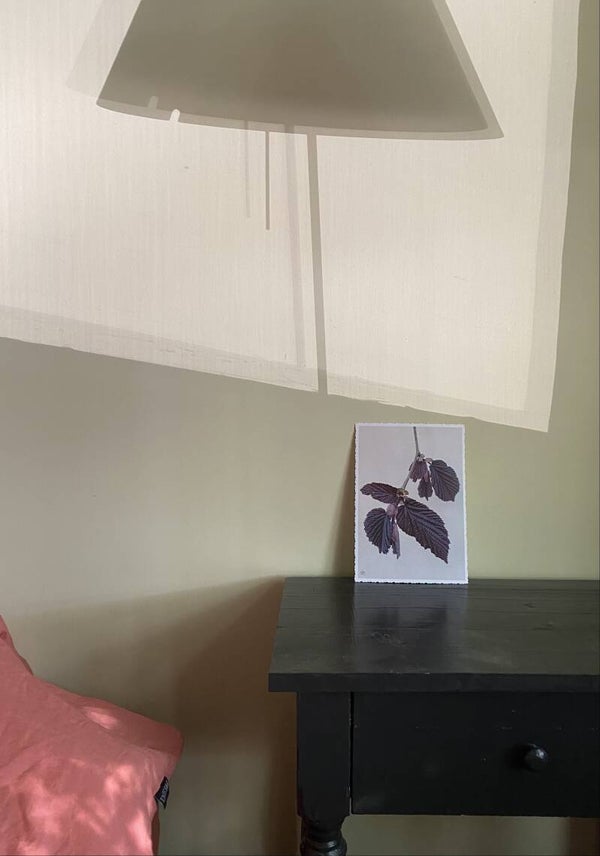 Artcard lambertsnoot