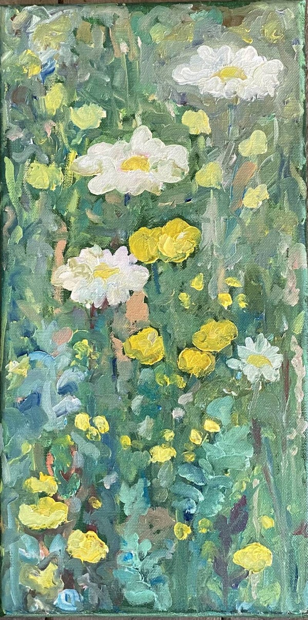 p - Stadsweide met Margrieten