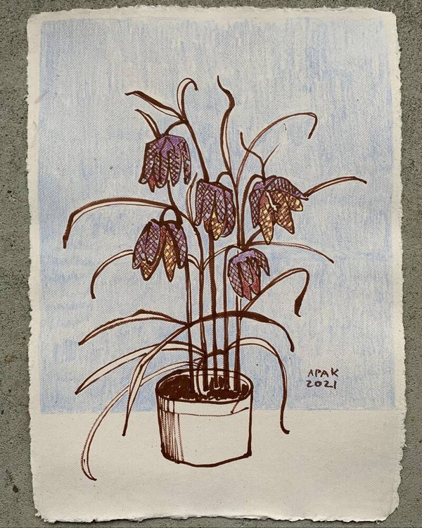 Tekening Kievitsbloemen