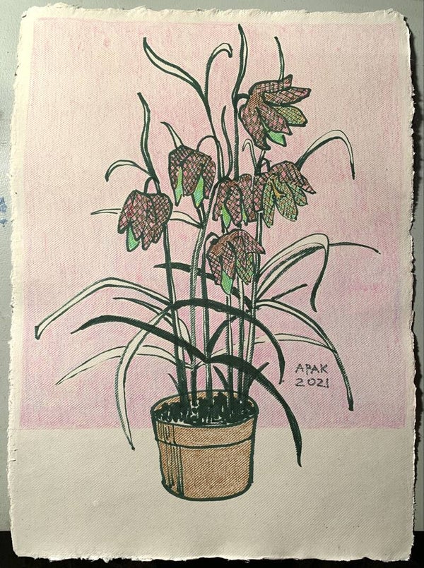 Tekening Kievitsbloemen 2