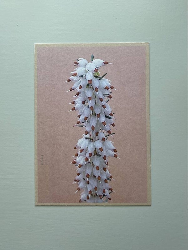 MPIN kaart A6 Boomhei