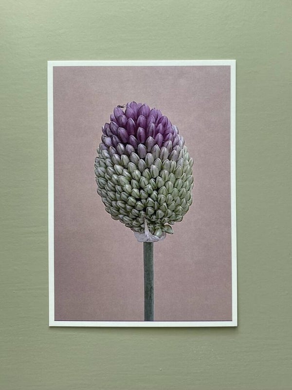 MPIN kaart A6 Kogellook