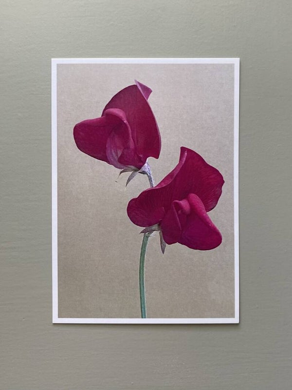 MPIN kaart A6 Lathyrus