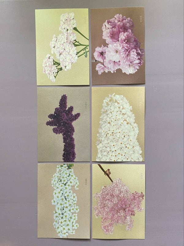 MPIN 30 Ansichtkaarten A4 Duizend bloemetjes