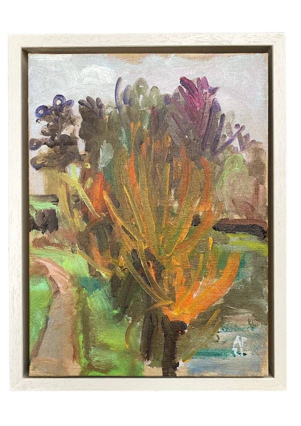 P Wilgen Amelisweerd