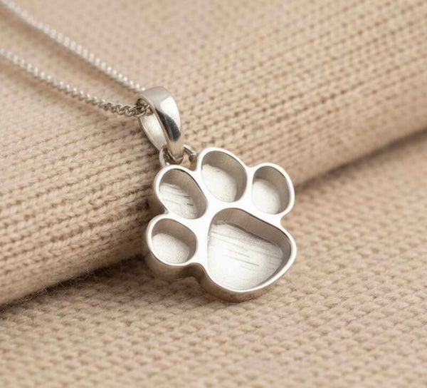 Small paw print