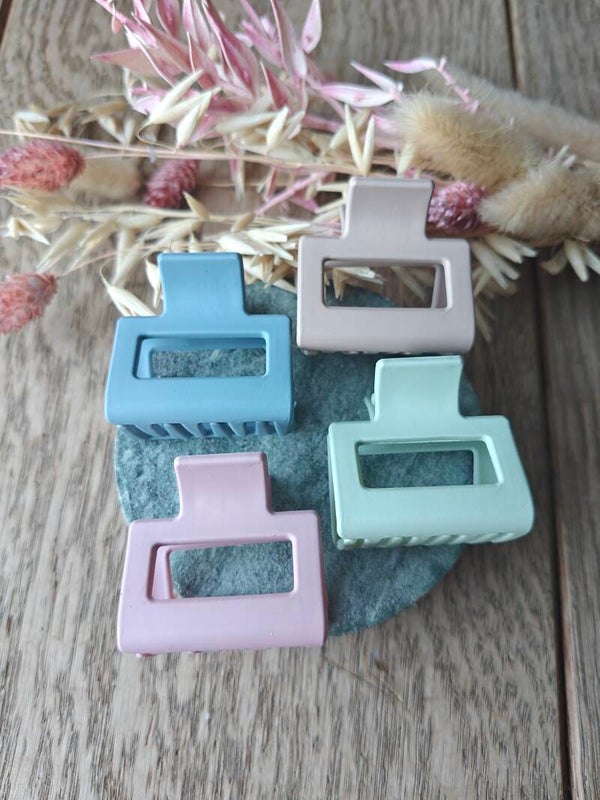 Haarspeld: pastelkleurig (roos,blauw,groen en beige)